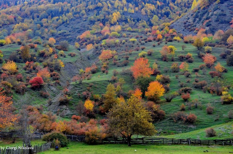 Georgia's gorgeous places to visit in Autumn - GeorgianJournal