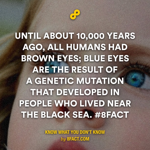 fact people with blue eyes