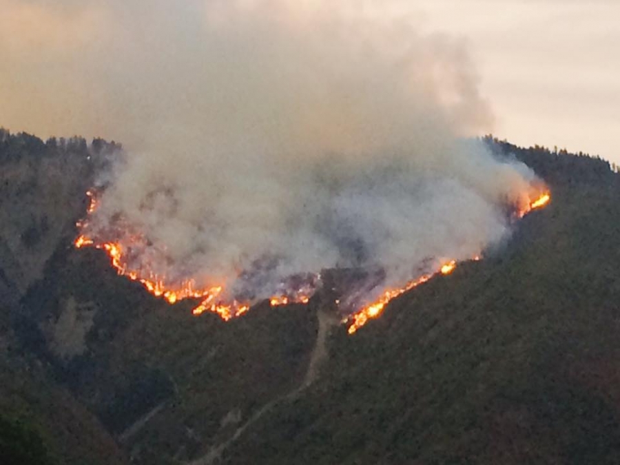 Difficult situation in Borjomi The fire still raging