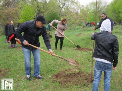 Kviris Palitra celebrated the 18th anniversary by planting trees ...